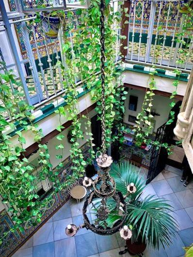 Hostal Lis Sevilla Exteriör bild